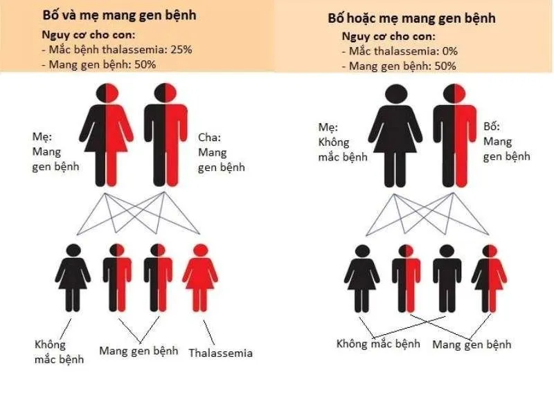 http://www.benhvienbaichay.vn/uploads/news/60965b1b4a718/2756-thalascemia-min.jpg