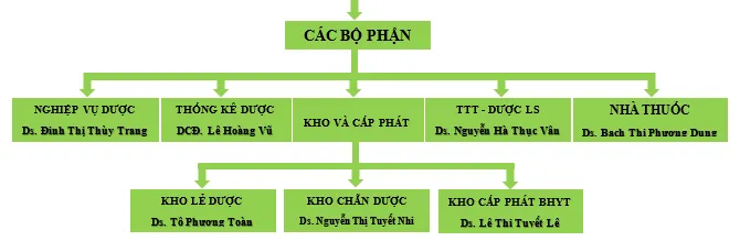 A diagram of a company Description automatically generated with medium confidence