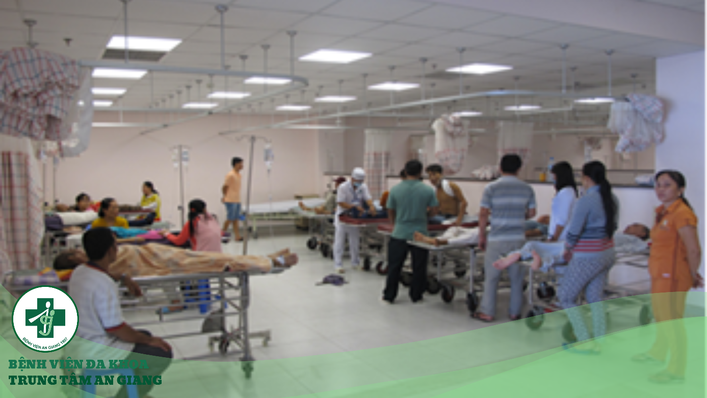 A group of people in a room
Description automatically generated