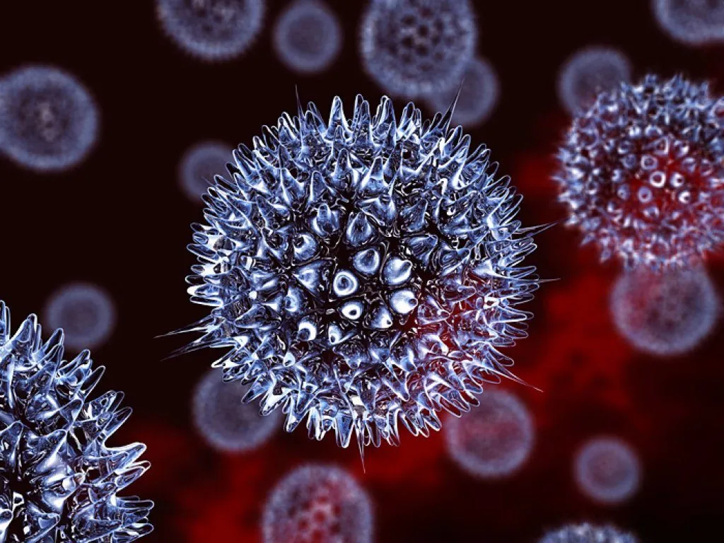 Mụn rộp sinh dục do virus HSV gây ra