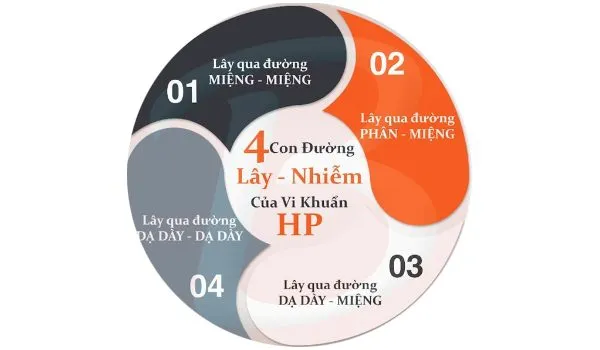 Vi khuẩn HP là gì? HP lây qua đường nào? - Dr.Khoa
