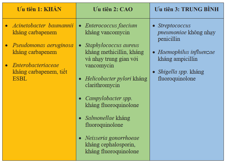 Bệnh Viện Đa Khoa An Giang
